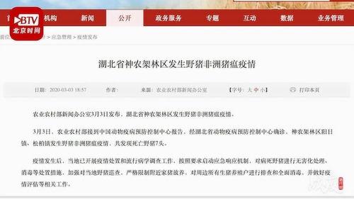 今日农村爆料新闻网最新,聚焦乡村振兴,探寻农业发展新路径